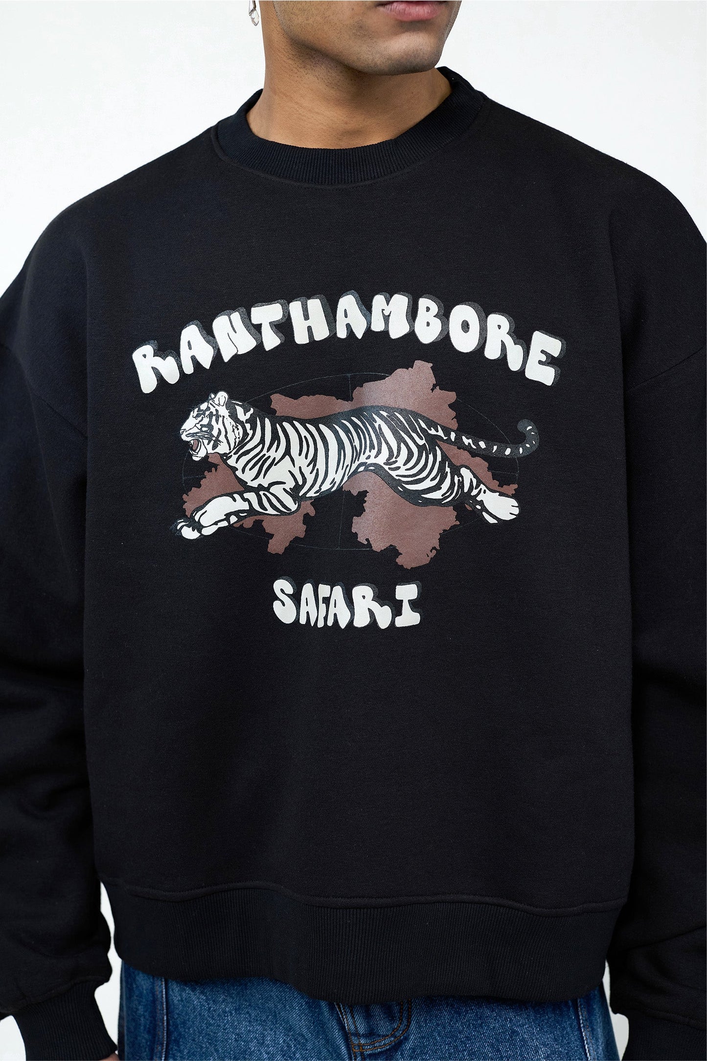 Ranthambore Safari